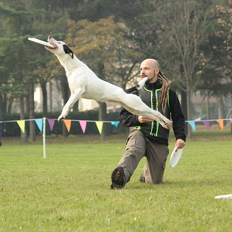 discdog-lolacorre-centrocinofilo